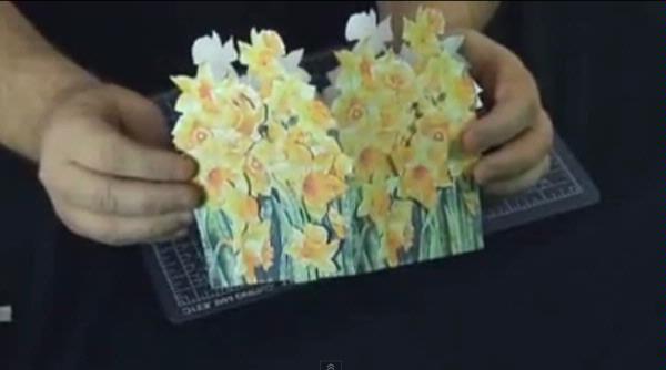 Daffodil Project - 3 x A4 Pages to Download