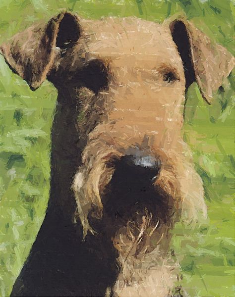 Hand Painted Effect Airedale Terrier - 19 Sheets to Download