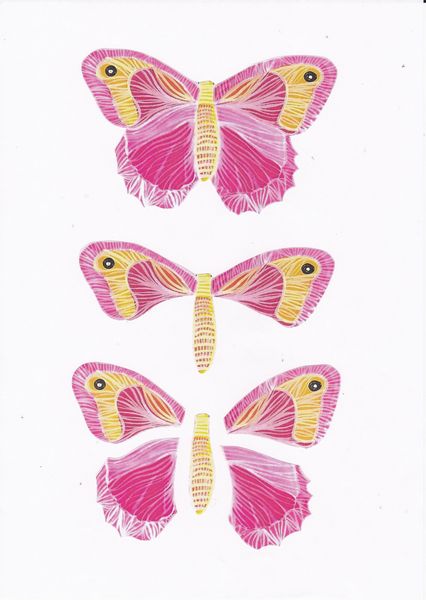 3D Butterfly Set 03 - 24 Pages to Download