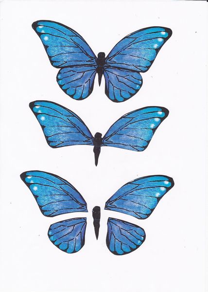 3D Butterfly ALL 7 SETS - 172 Pages to Download