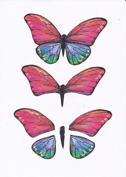 3D Butterfly Set 05 - 24 Pages to Download