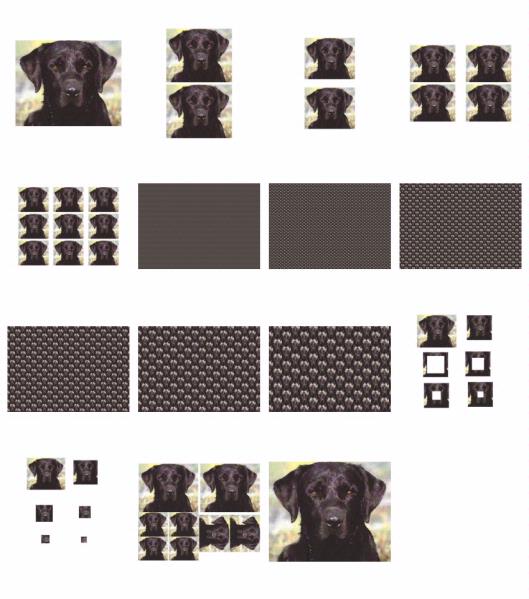 Hand Painted Effect Labrador Set Download - 15 Pages