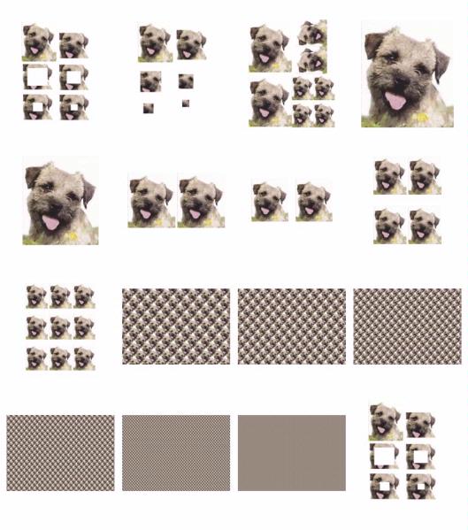 Hand Painted Effect Border Terrier Set - 15 x A4 Pages