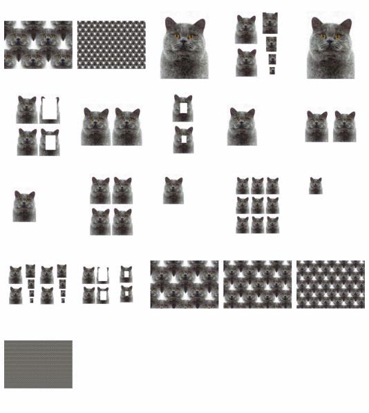 Hand Painted Effect British Short Hair Cat Set Download - 21 Pages