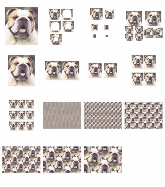.Hand Painted Effect Bulldog Set Download - 14 Pages