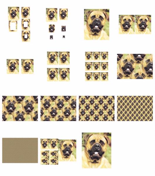 .Hand Painted Effect Bullmastiff DOWNLOAD - 14 Sheets