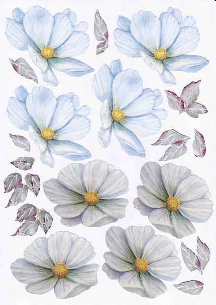 ALL 5 SETS - Butterfly & Flowers Download - 79 x A4 Sheets