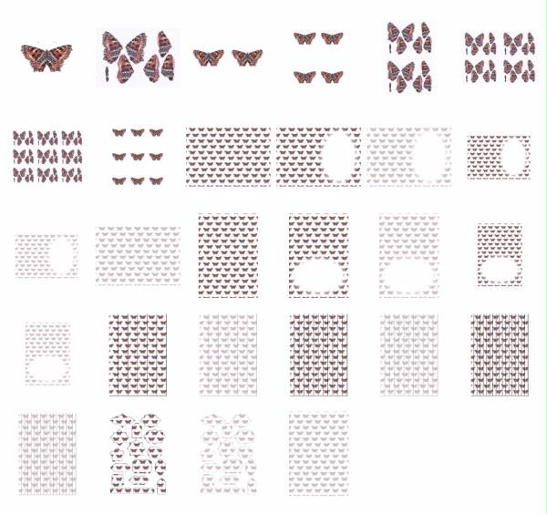 3D Butterfly Set 07 - 28 Pages to Download