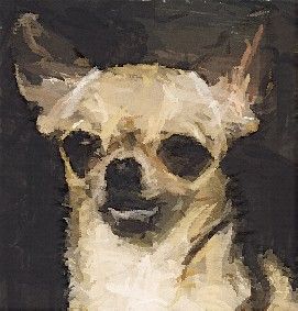 Hand Painted Effect Chihuahua - 19 Sheets to Download