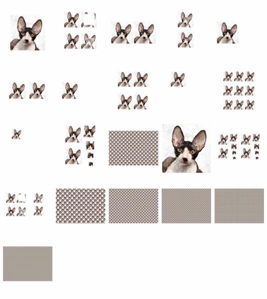 Hand Painted Effect Cornish Rex Cat Set Download - 21 Pages