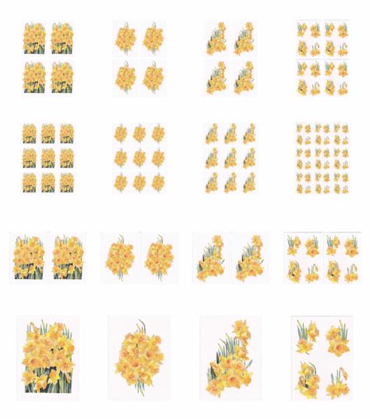 Daffodil Toppers Download - 16 x A4 Pages