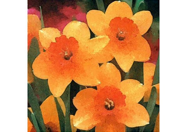 Hand Painted Effect Daffodil Download - 39 Pages