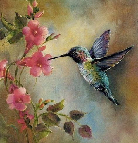 Hummingbird Set - 38 Pages to Download