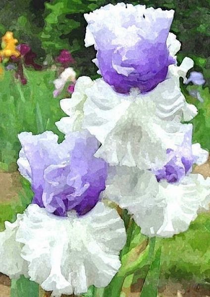 Hand Painted Effect Iris Tile Download - 39 Pages