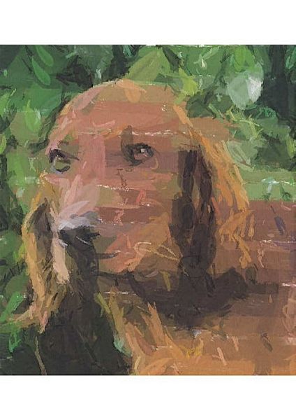 Hand Painted Effect Irish Setter - 18 Sheets to Download