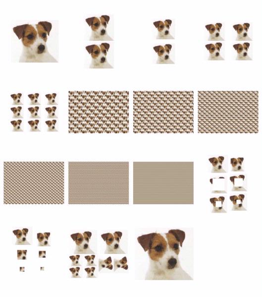 Hand Painted Effect Jack Russell Set - 15 Pages