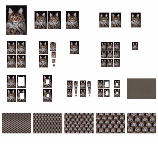 Hand Painted Effect Maine Coon Cat Set Download - 21 Pages