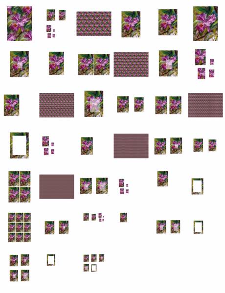 Modern Flowers Set 10 Download - 39 Pages