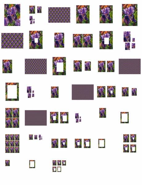 Modern Flowers Set 12 Download - 39 Pages