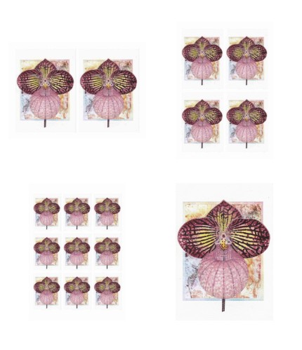 Orchids Toppers 01 - 4 x A4 Pages to Download