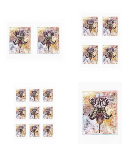 Orchids Toppers 05 - 4 x A4 Pages to Download