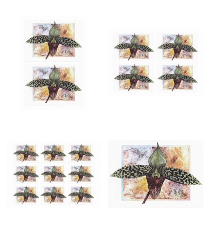 Orchids Toppers 06 - 4 x A4 Pages to Download