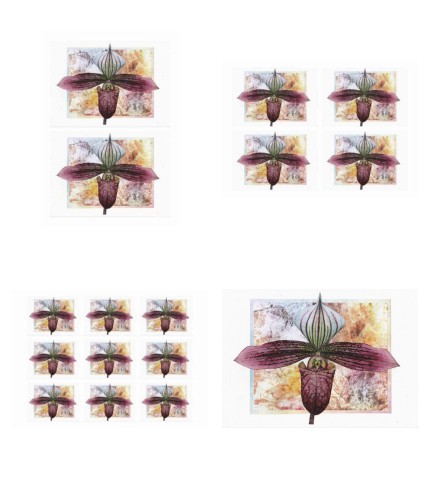 Orchids Toppers 07 - 4 x A4 Pages to Download