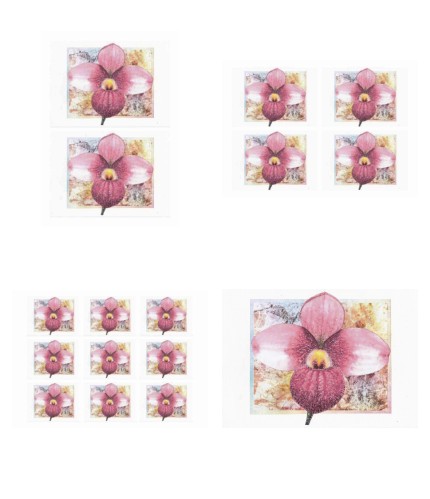 Orchids Toppers 08 - 4 x A4 Pages to Download