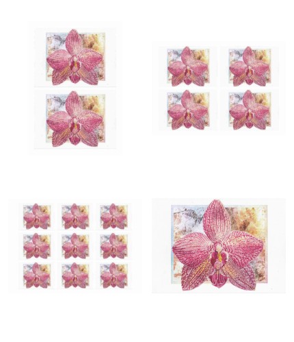 Orchids Toppers 09 - 4 x A4 Pages to Download