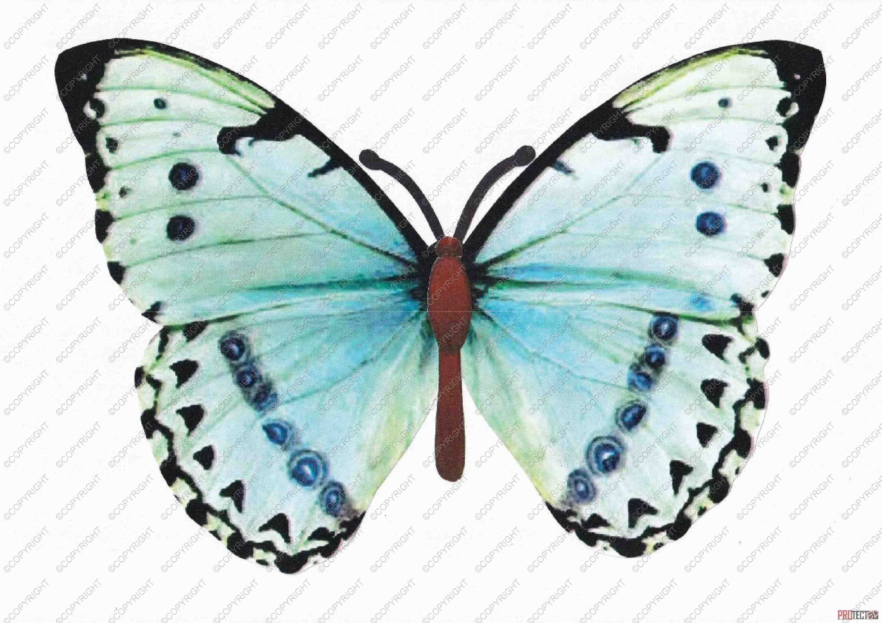 Beautiful Butterflies 07 - 52 Pages to Download