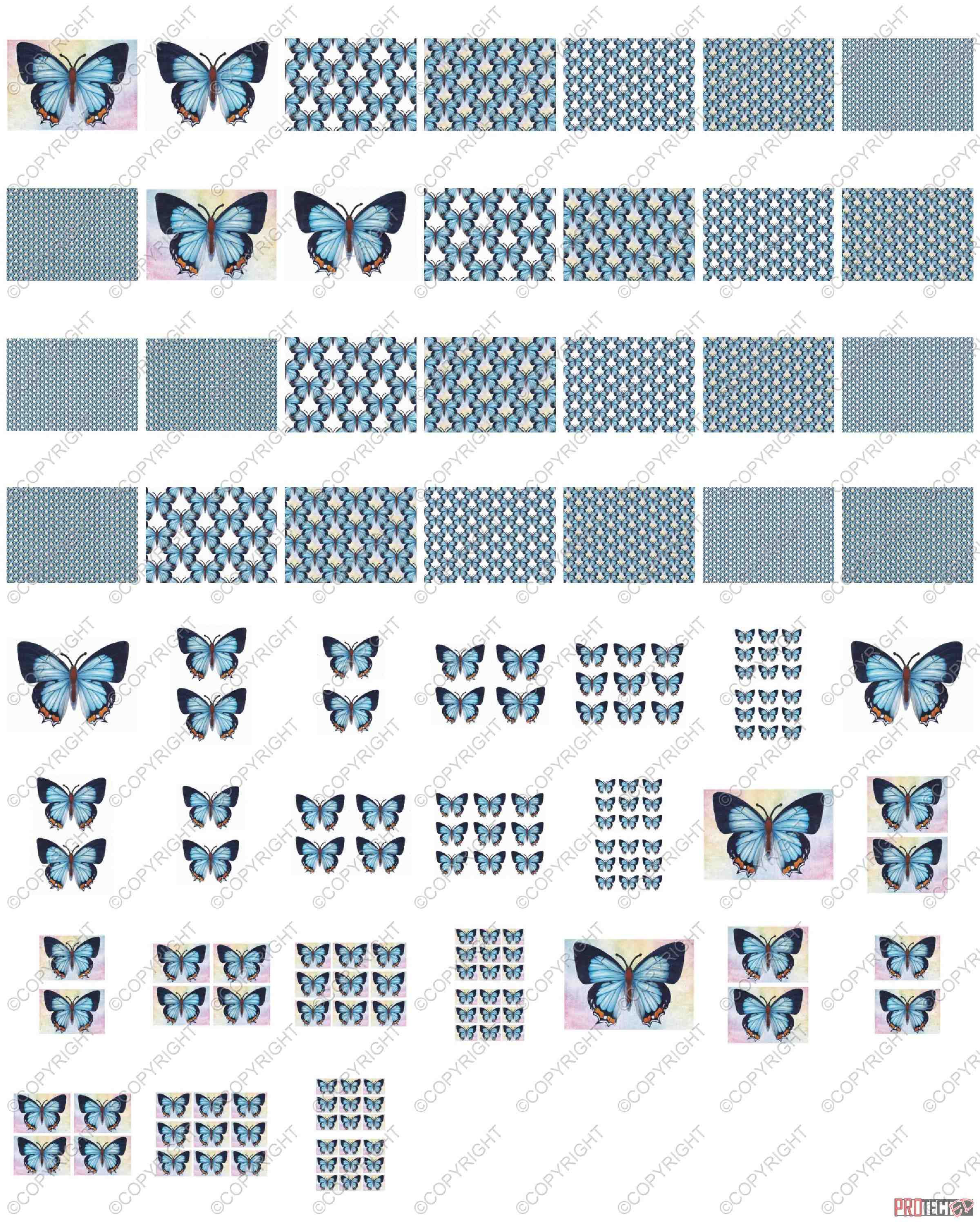 Beautiful Butterflies 11 - 52 Pages to Download