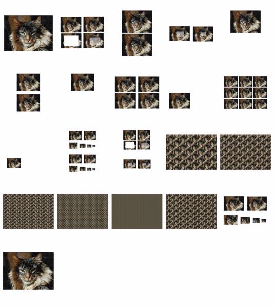 .Hand Painted Effect Norwegian Forest Cat Set Download - 21 Pages
