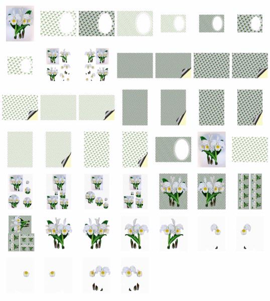 Opulent Orchids 04 - 40 x A4 Pages