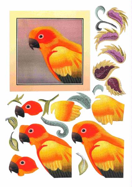 Parrots Full Set of Decoupage Toppers -15 x Pages to DOWNLOAD