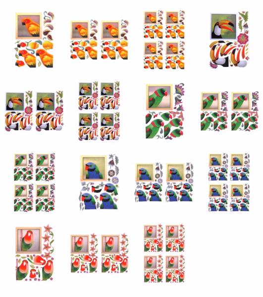 Parrots Full Set of Decoupage Toppers -15 x Pages to DOWNLOAD
