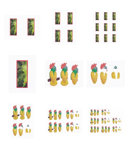 Parrots Set 02 - 9 x A4 Pages to Download