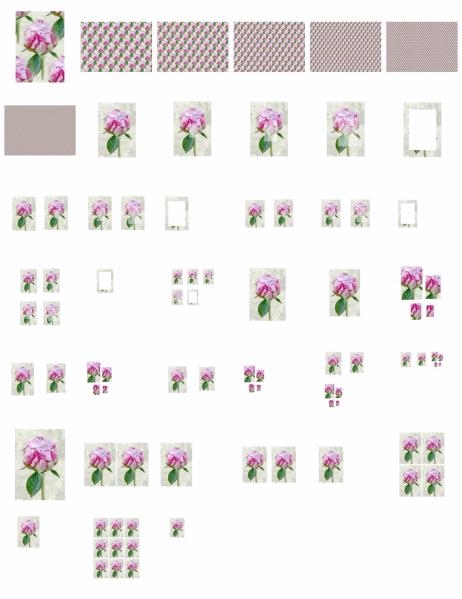 Peonies Set - 39 Pages to Download