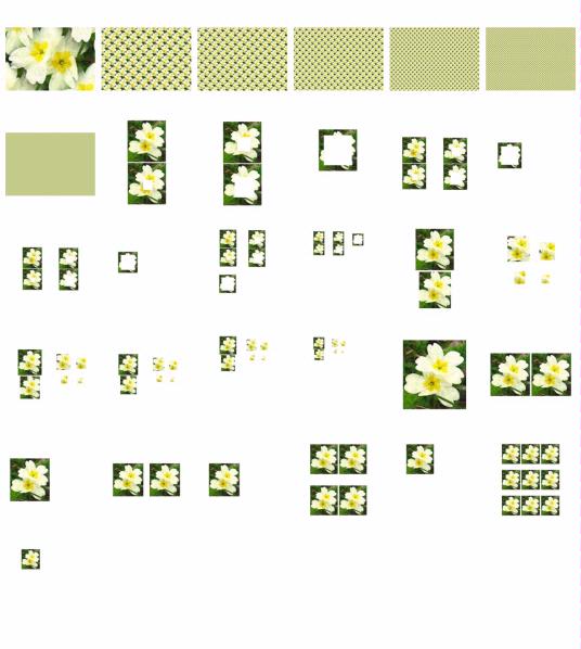 Polyanthus Set 09 - 29 Pages to Download