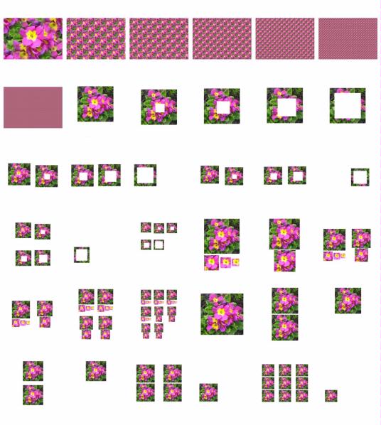 Polyanthus Set 14 - 29 Pages to Download