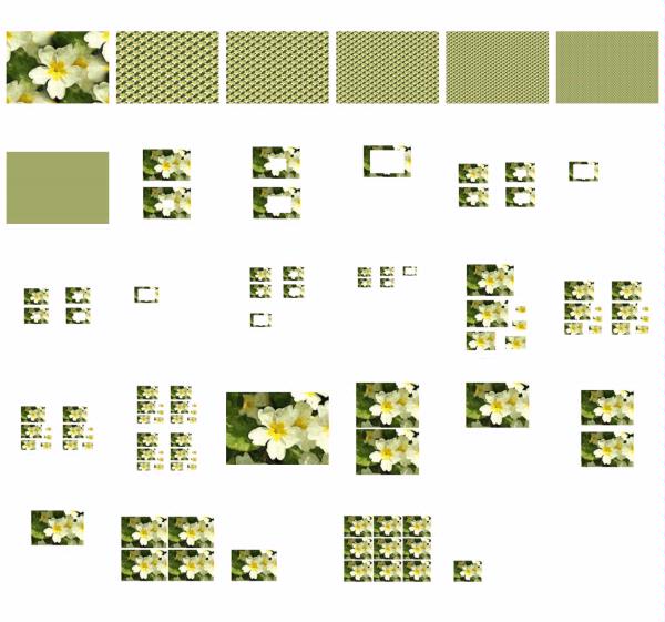 Polyanthus Set 15 - 29 Pages to Download