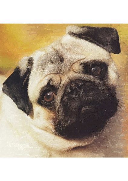 Hand Painted Effect Pug DOWNLOAD - 15 Sheets