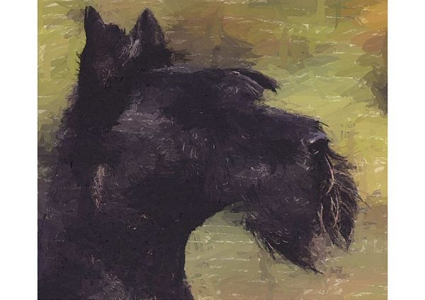 Hand Painted Effect Scottish Terrier - 19 Sheets to Download