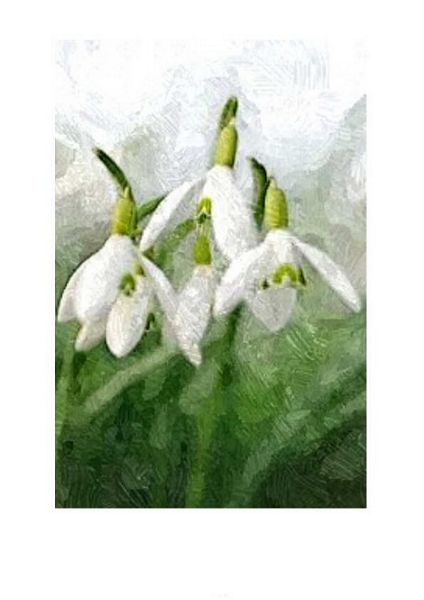Spring Flowers Snowdrop Set - 37 Pages to Download