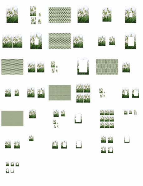 Spring Flowers Snowdrop Set - 37 Pages to Download