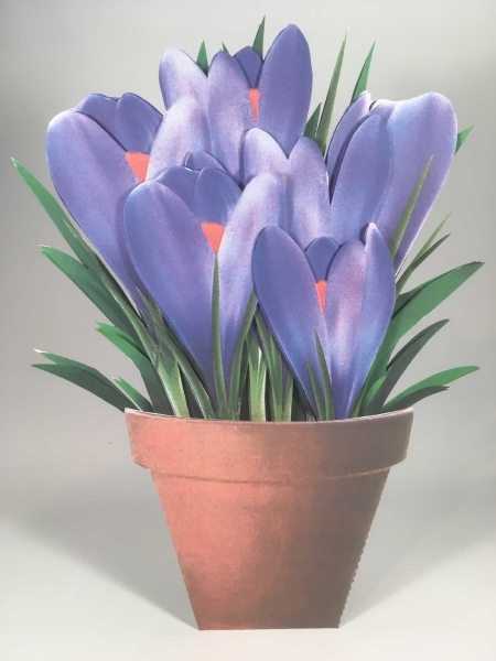 Spring Crocus Flowers - 25 Pages to Download
