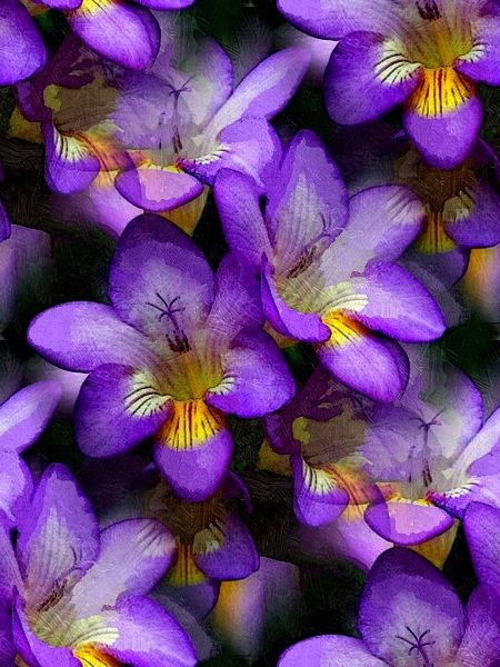 Spring Flowers Crocus Set - 38 Pages to Download