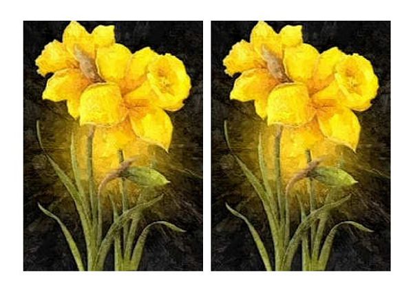Spring Flowers Daffodils Set - 37 Pages to Download
