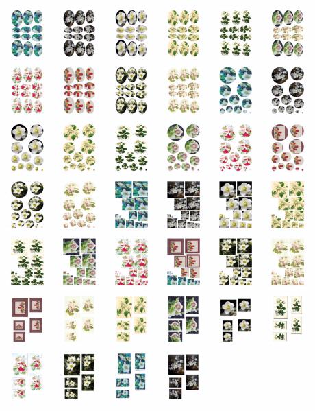 Christmas Rose ALL Stacks & Toppers Sets - 40 Pages