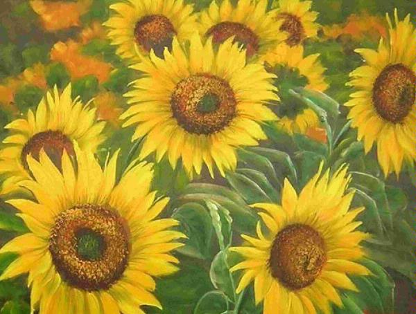 Sensational Sunflowers 02 Download - 59 x A4 Pages