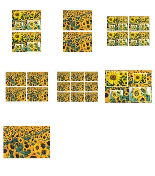Sunflower Surprise All in 1 Design 1 - 7 Pages DOWNLOAD